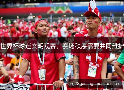 世界杯球迷文明观赛，赛场秩序需要共同维护